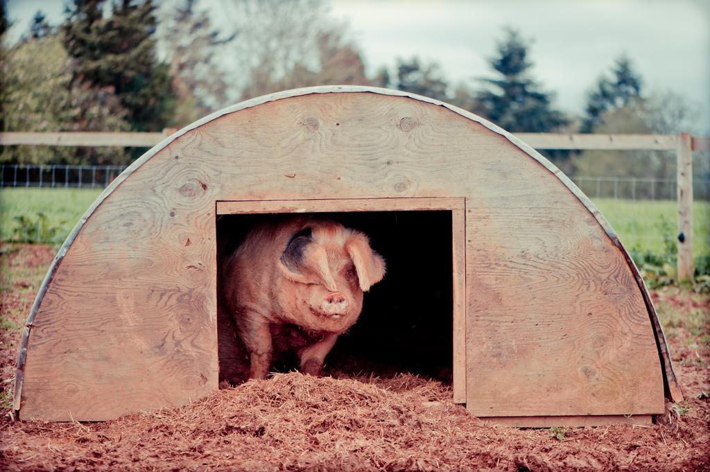 布里奇沃特Huntstile Organic Farm住宿加早餐旅馆 外观 照片